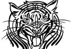 91猛虎直播,揭秘网红直播背后的精彩故事